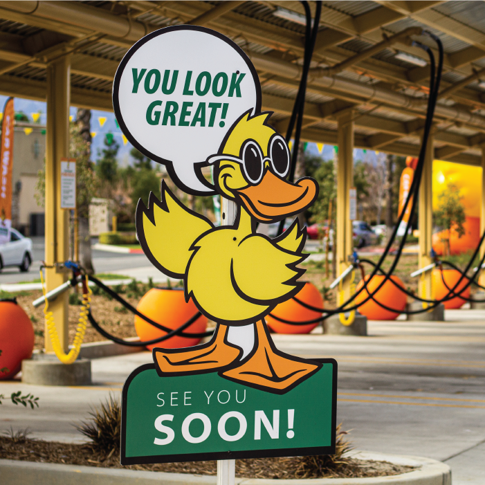 Ceramic duck unlimited