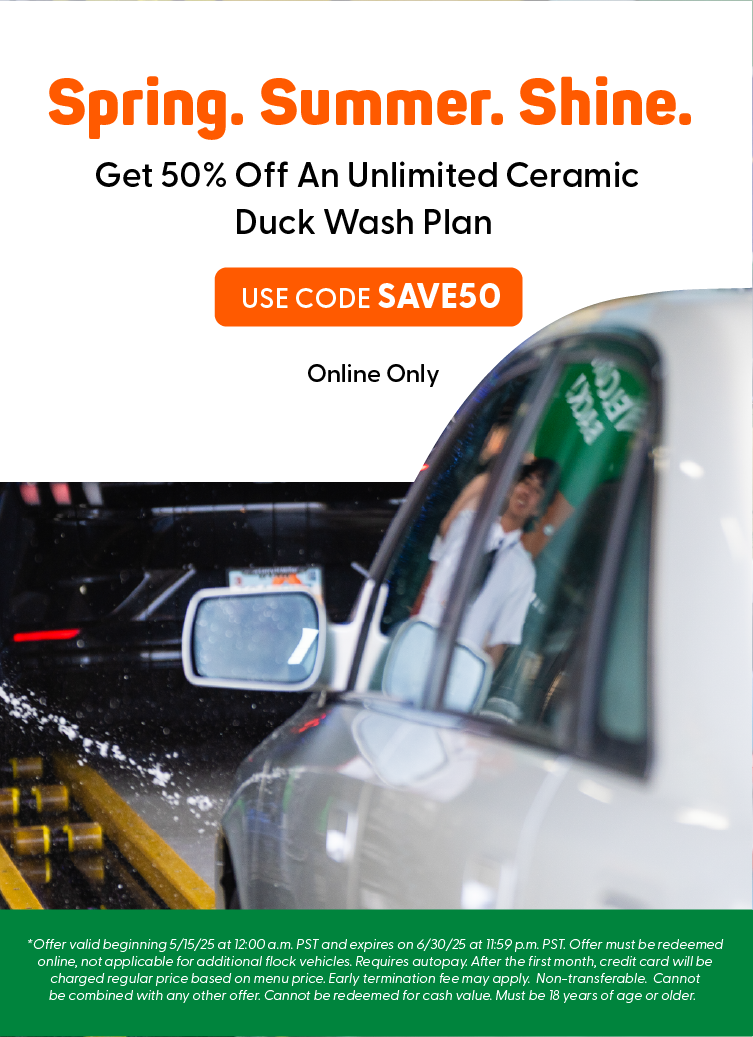 Sale and Promo Banner
